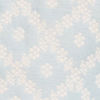 Light Blue Celebration Kurta Pajama